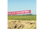 田间摆擂验成效 科技赋能启“硒”望！岳阳