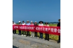 亩产提质、富硒增效！桃源“双增双减双降”