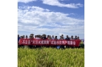 湘赣边农业协同创新结硕果 万安富硒水稻新