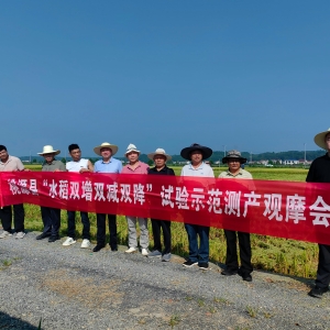 单产提升、品质提优、富硒增效！桃源“双增双减双降”绿色技术观
